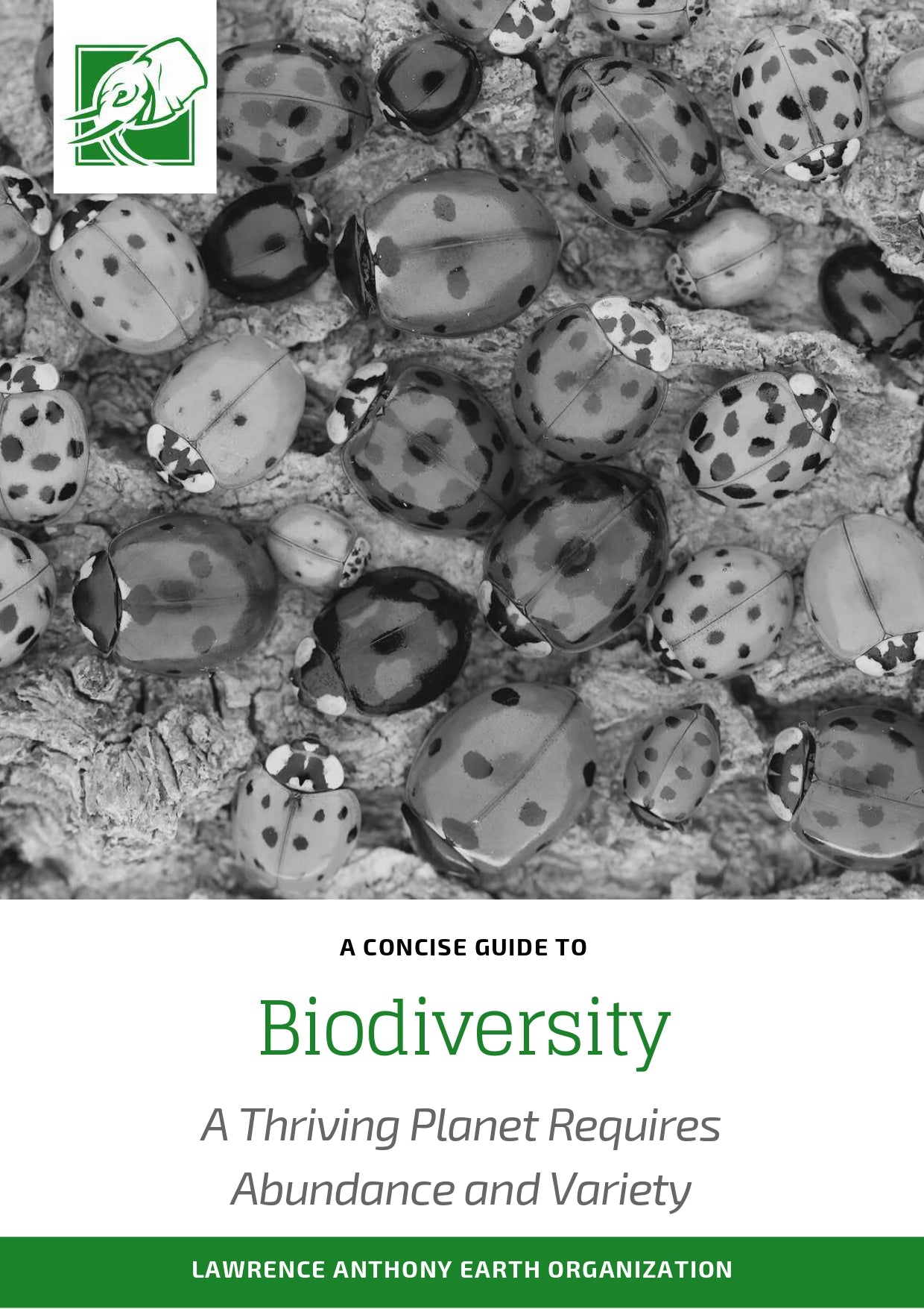 Biodiversity