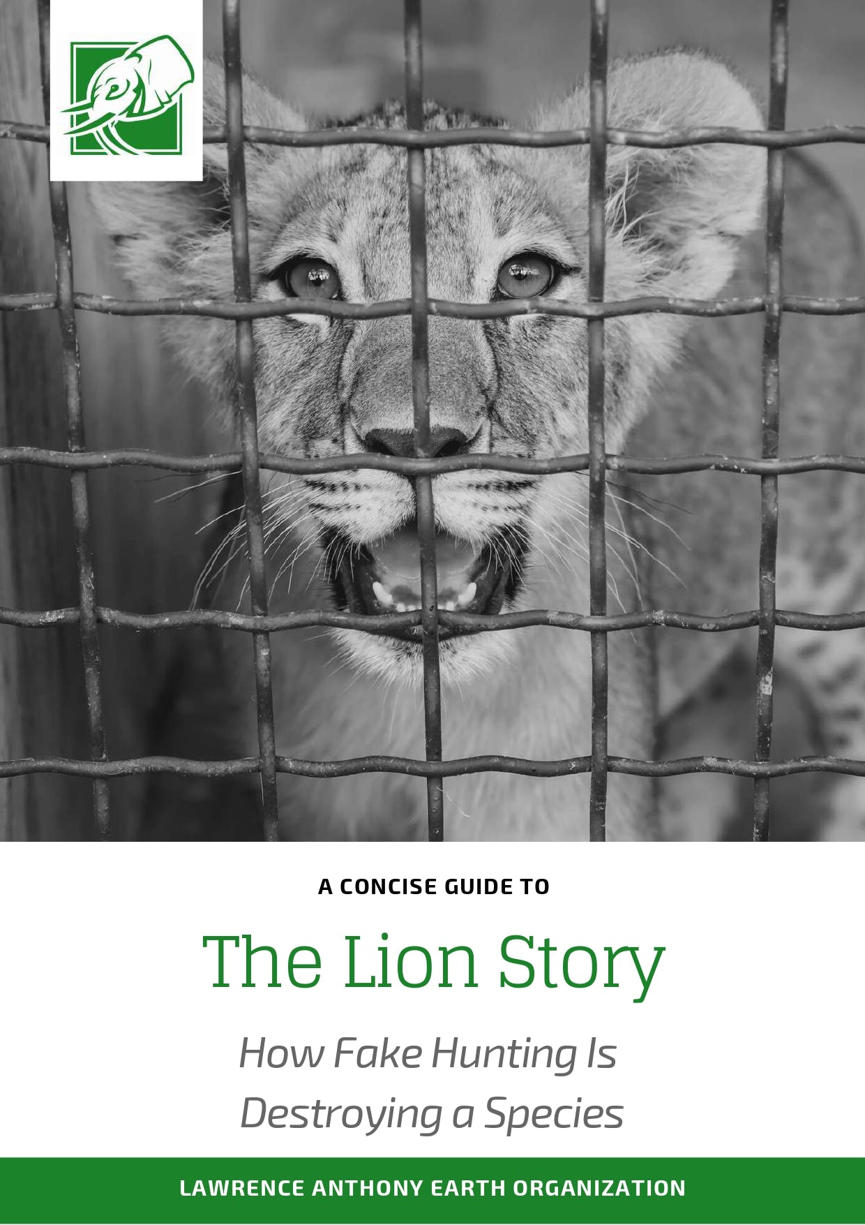 The Lion Story