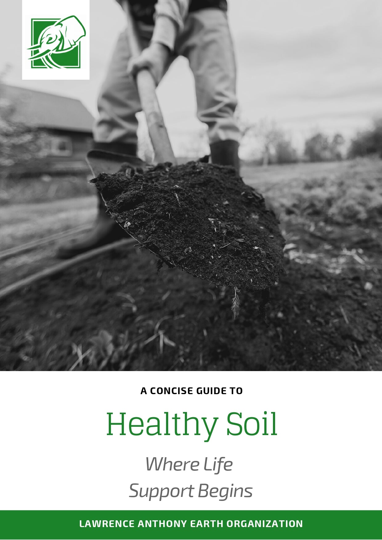 Soil - Where Life Support Begins