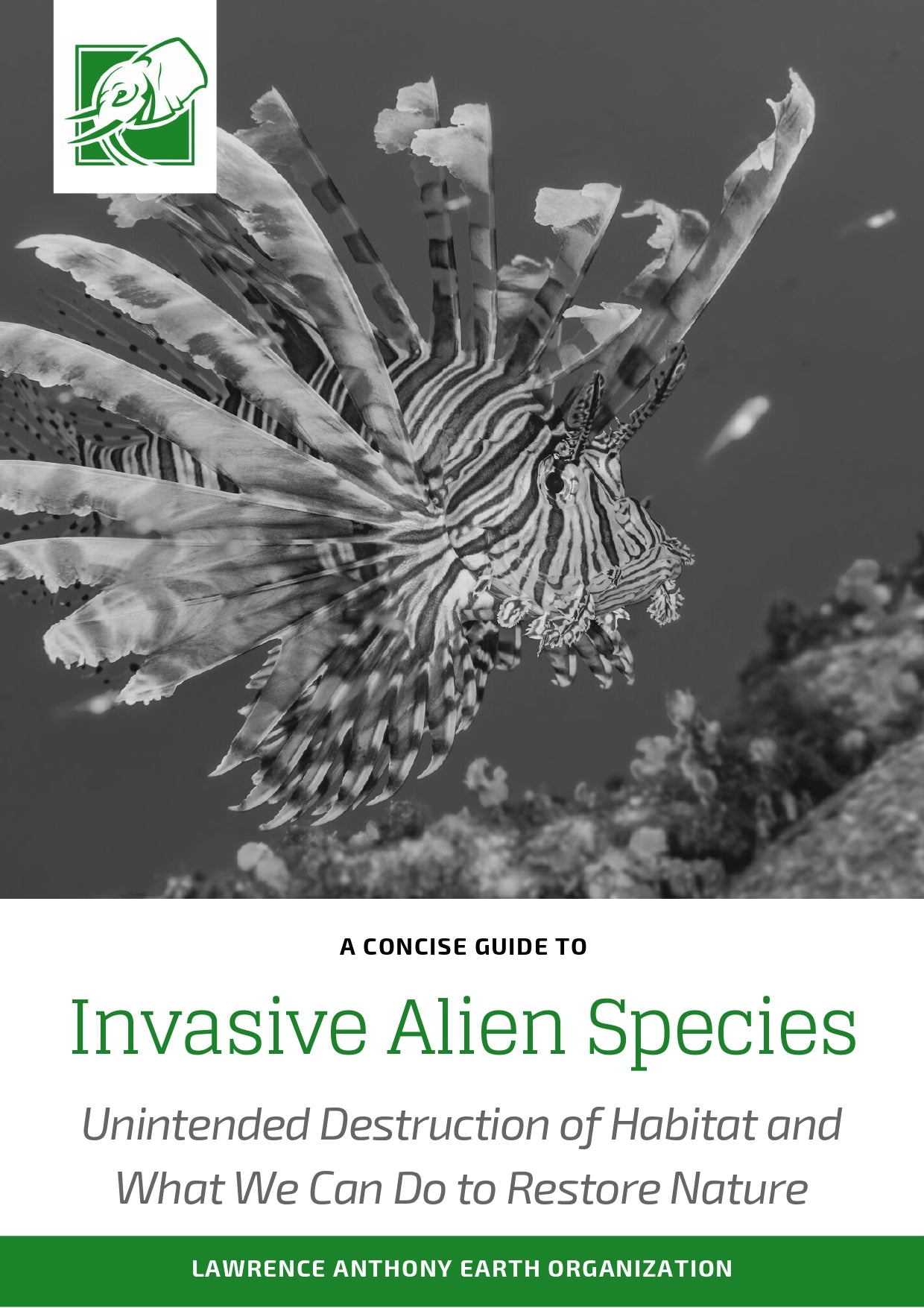 Invasive Alien Species