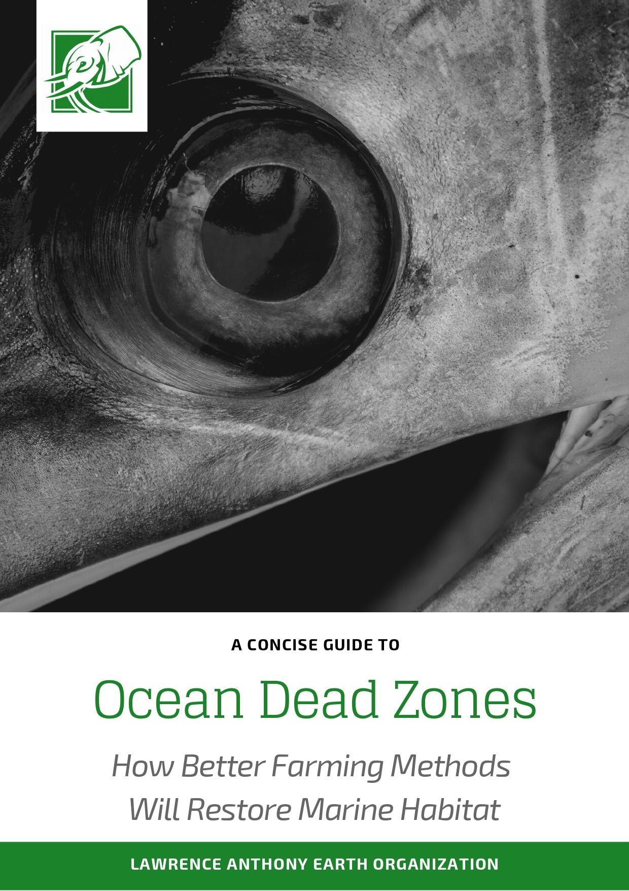 Ocean Dead Zones