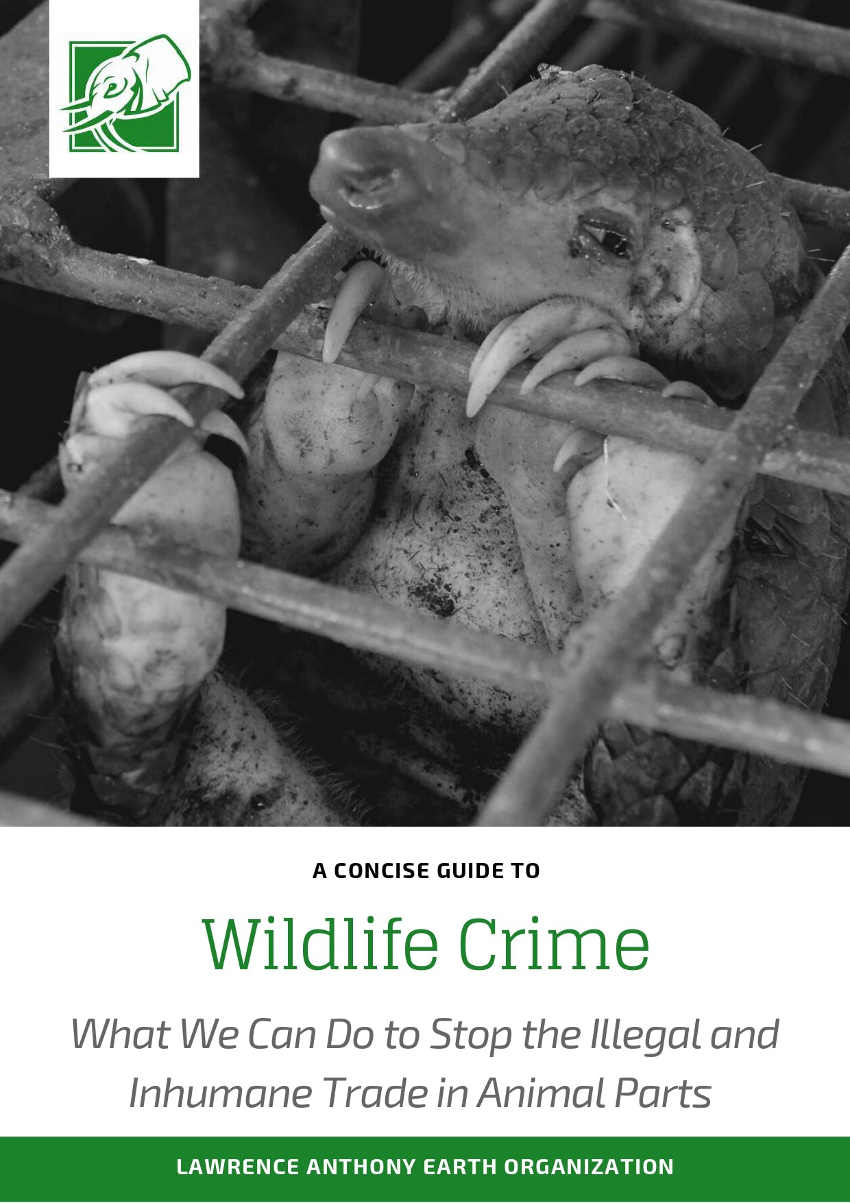 Wildlife Crime